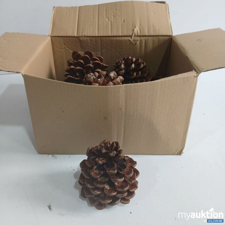 Artikel Nr. 956984: Pinienzapfen Natur 10Stk 8-12cm 