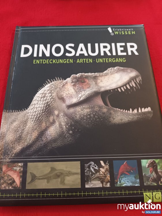 Artikel Nr. 927987 Artikel Nr. 927987: DINOSAURIER
