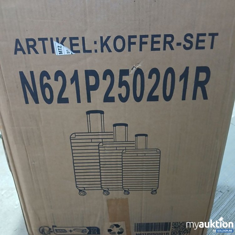 Artikel Nr. 441988: N621 Koffer-Set N621P250201R 3stk