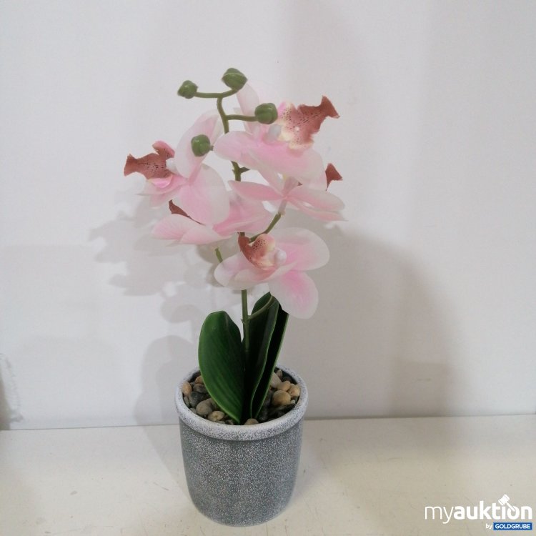Artikel Nr. 423989: Orchidee Kumstblume 