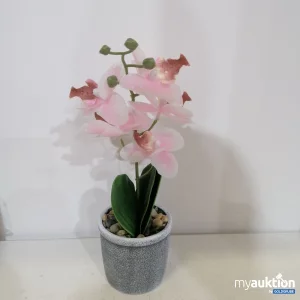 Auktion Orchidee Kunstblume