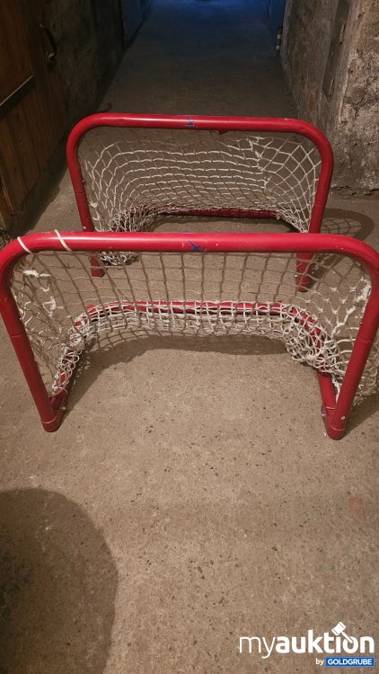 Artikel Nr. 393991 Artikel Nr. 393991: Tore für Eishockey, Inlinehockey, Feldhockey