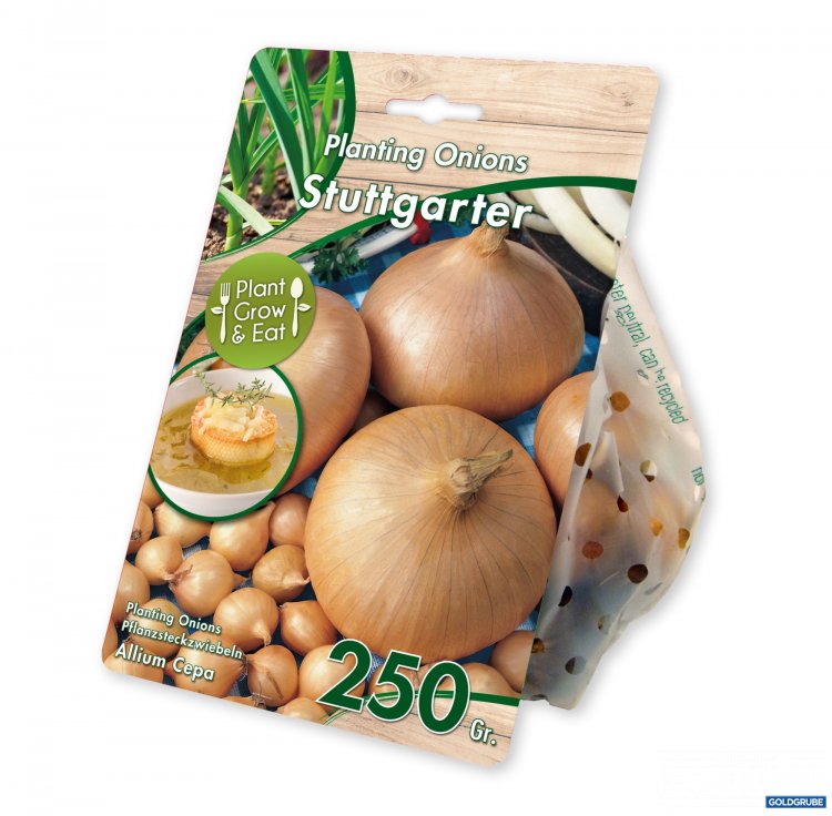 Artikel Nr. 924991: Steckzwieblen Cepa Stuttgarter Riesen