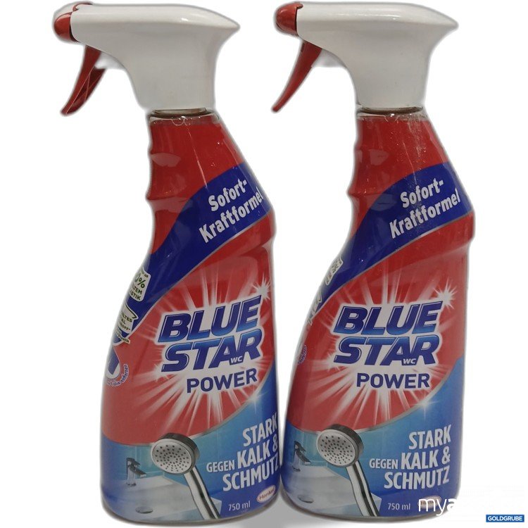 Artikel Nr. 962991: Blaustar WC Power 2x750ml 