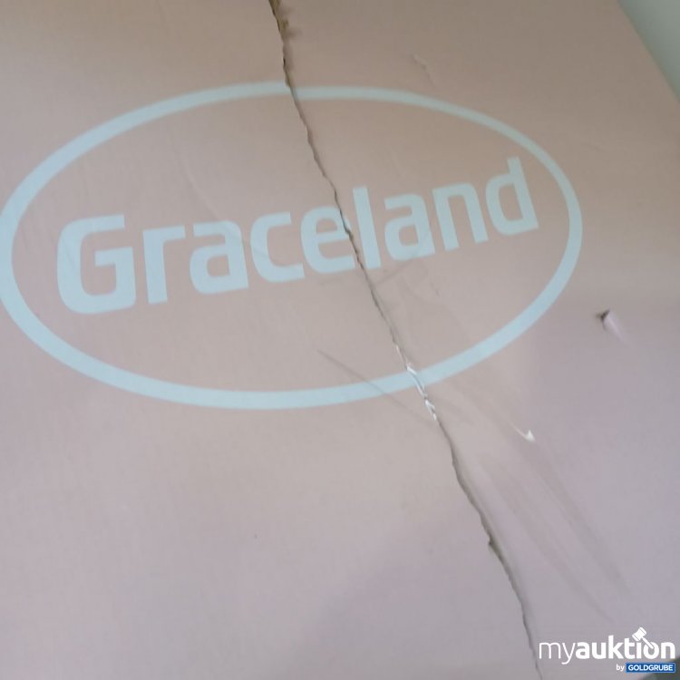 Artikel Nr. 980991 Artikel Nr. 980991: Graceland Stiefeletten Schwarz Glänzend