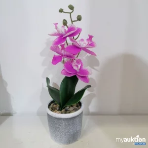 Auktion Orchidee Kunstblume