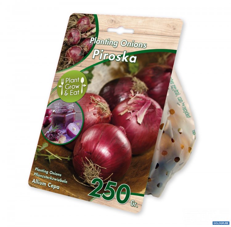 Artikel Nr. 924992: Steckzwiebel Cepa Red / Piroska