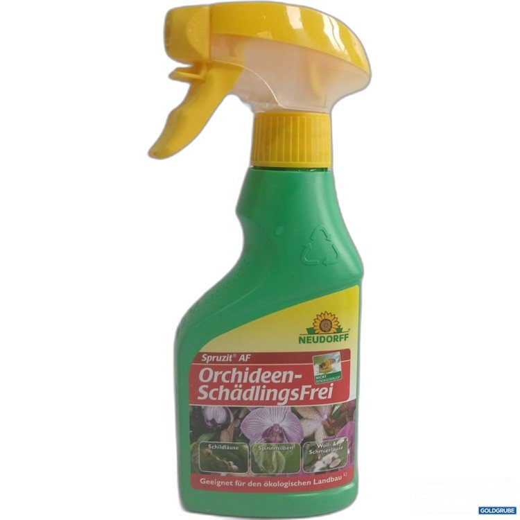 Artikel Nr. 977997 Artikel Nr. 977997: NEUDORFF Orchideen-SchädlingsFrei Spruzit AF 250ml