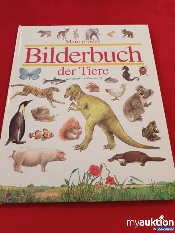 Artikel Nr. 927998 Artikel Nr. 927998: Mein großes Bilderbuch der Tiere